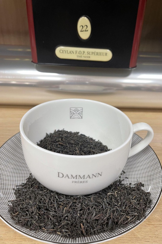 Ceylan O.P. Supérieur