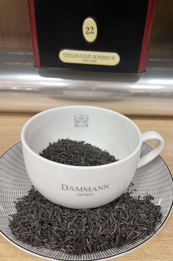 Ceylan O.P. Supérieur